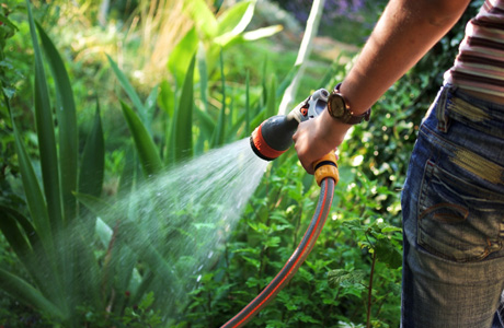 Rainwater Harvesters